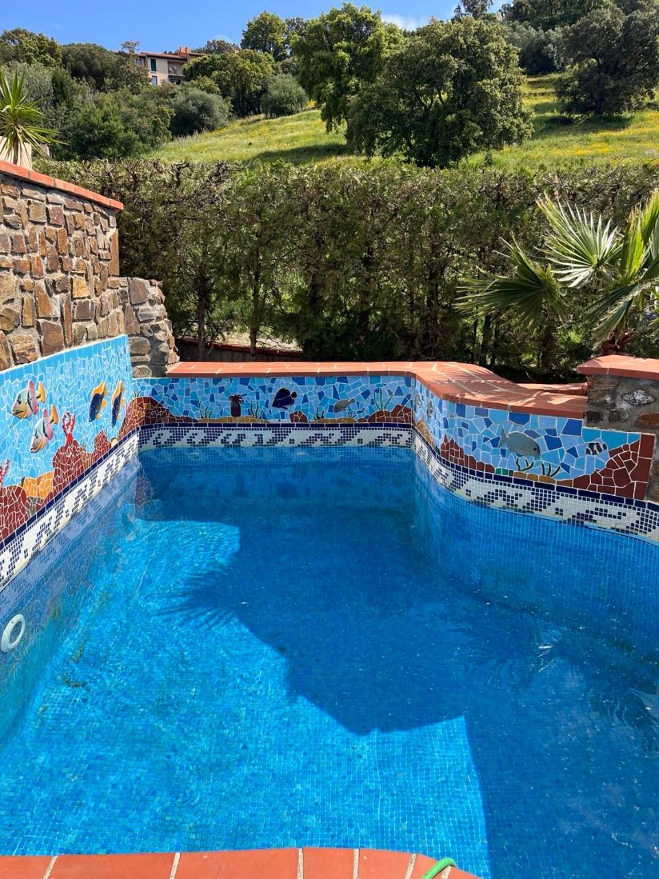 Renovee Confort Avec Piscine * Collioure